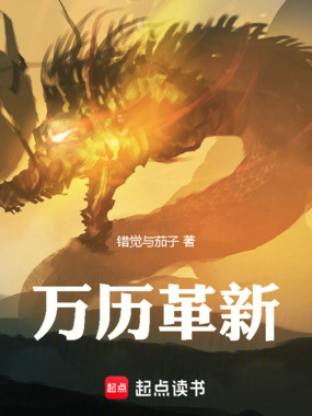 万历革新在线阅读