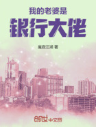 我的老婆是银行大佬在线阅读
