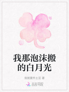 我那泡沫搬的白月光在线阅读