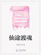 仙途渡魂在线阅读