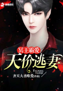 冥王霸愛:天價逃妻