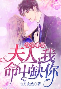 危情婚愛:夫人,我命中缺你