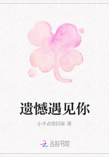 遺憾遇見你