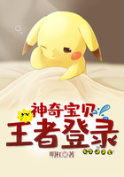 神奇宝贝：王者登录