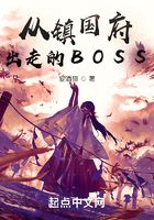 从镇国府出走的BOSS