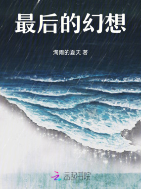 最后的幻想在线阅读