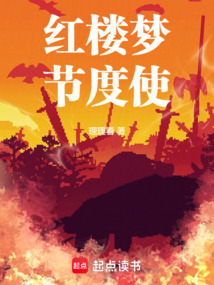 Commissioner of the Grand View in Dream of the Red Chamber cover