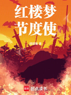 红楼梦节度使在线阅读