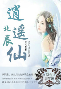 北辰逍遙仙