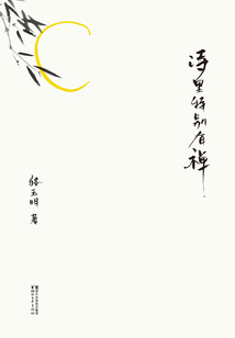 詩里特別有禪（2017）