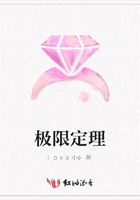 極限定理在線閱讀