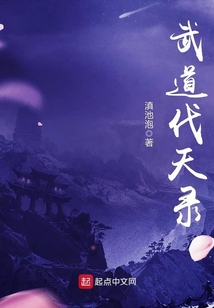 武道伐天錄