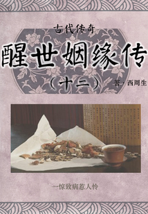 古代傳奇:醒世姻緣傳(十二)