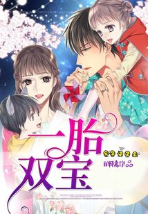 一胎双宝在线阅读