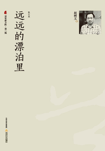 远远的漂泊里