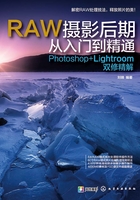 RAW摄影后期从入门到精通：Photoshop+Lightroom双修精解