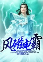 风磁电霸