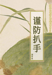 谨防扒手