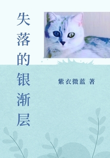 失落的銀漸層
