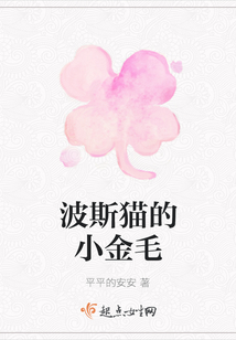 波斯貓的小金毛