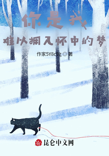 你是我难以拥入怀中的梦