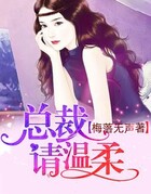 总裁,请温柔