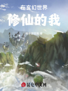 在斗气世界修仙的我在线阅读
