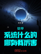 铠甲:系统什么的,哪有我厉害在线阅读