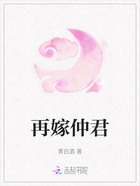 再嫁仲君在线阅读