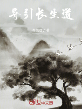 导引长生道在线阅读