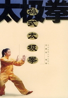 孙式太极拳