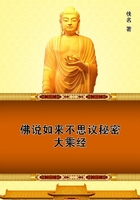 佛说如来不思议秘密大乘经在线阅读