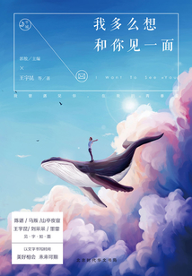 我多么想和你見一面