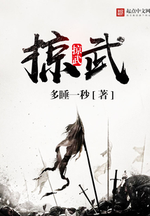 掠武