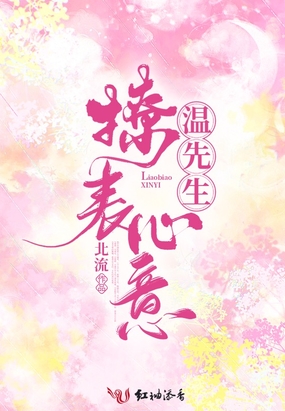 温先生，撩表心意在线阅读