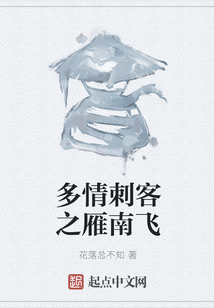 多情刺客之雁南飛