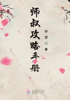 师叔攻略手册在线阅读