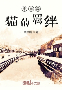 來自異貓的羈絆