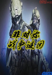 非對稱戰爭迷團