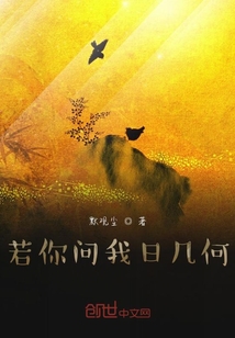 若你问我日几何