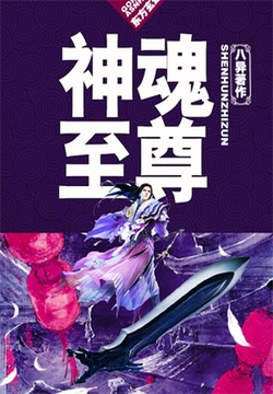 神魂至尊 封面