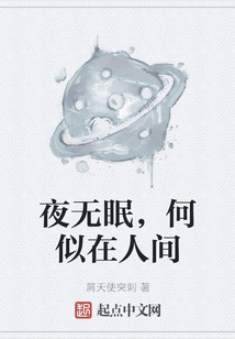 夜無眠，何似在人間