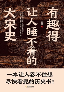 有趣得让人睡不着的大宋史