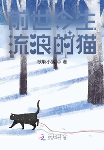 前世今生流浪的貓
