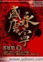 盛唐永寧在線閱讀