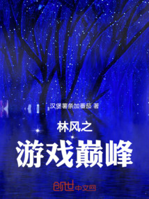 林風之游戲巔峰