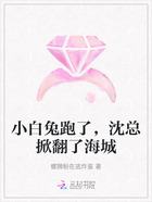 小白兔跑了,沈总掀翻了海城在线阅读