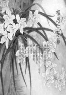 相思兰芳菲