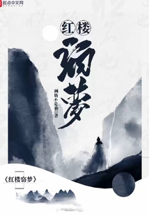 红楼窃梦