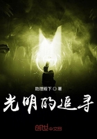 光明的追寻在线阅读